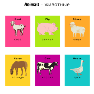 Английские слова по темам для детей в картинках: animals