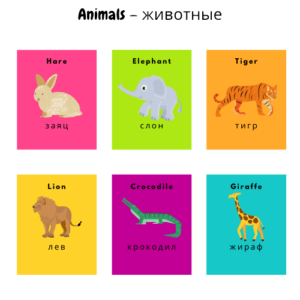 Карточки английских слов с переводом для детей на тему животные
